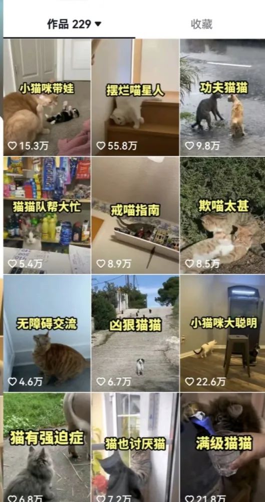 (6568期)拆解:抖音盘点类中视频变现副业项目,视频版一条龙大解析分享给你 (6568期)拆解:抖音盘点类中视频变现副业项目,视频版一条龙大解析分享给你