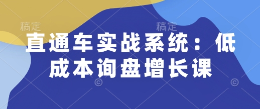 直通车实战系统:低成本询盘增长课,让个人通过技能实现升职加薪,让企业低成本获客,订单源源不断