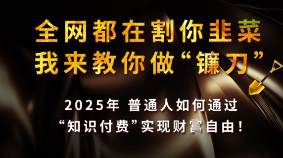 全网都在割你韭菜，我来教你做镰刀，2025普通人如何通过知识付费，实现财F自由【揭秘】 – 闲云创业网