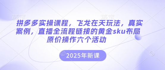 拼多多实操课程,飞龙在天玩法,真实案例,直播全流程链接的黄金sku布局原价操作六个活动