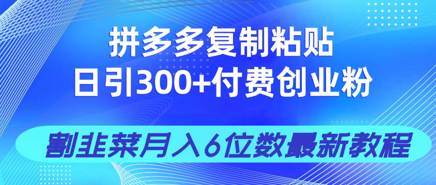 拼多多复制粘贴日引300+付费创业粉，割韭菜月入6位数最新教程！