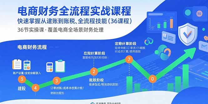 电商财务全流程实战课程：快速掌握从建账到报税的全流程技能(36节课