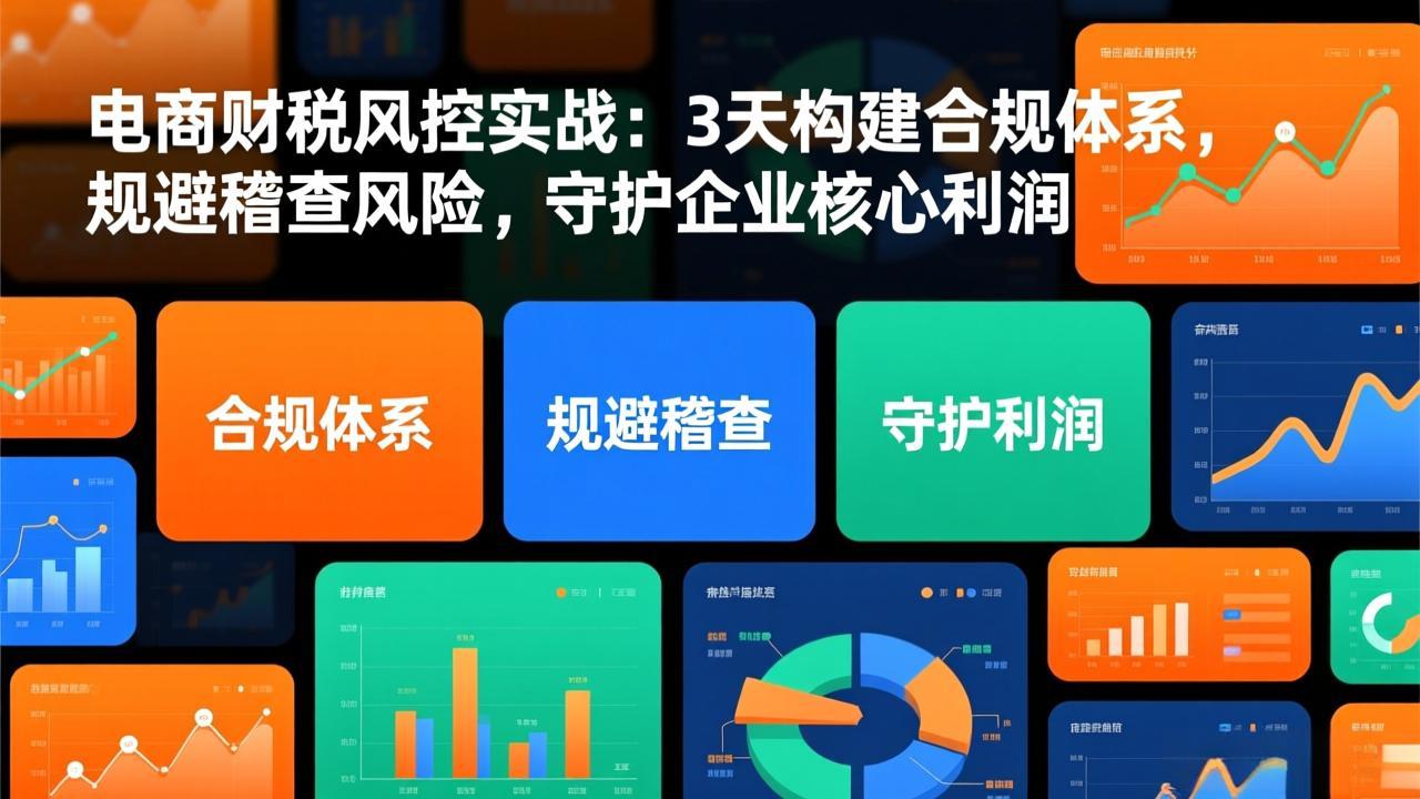 电商财税风控实战：3天构建合规体系，规避稽查风险，守护企业核心利润